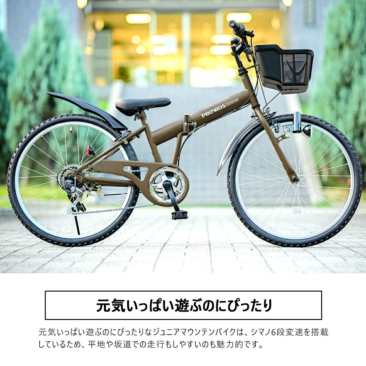 PROVROSジュニアマウンテンバイク P-JM20246