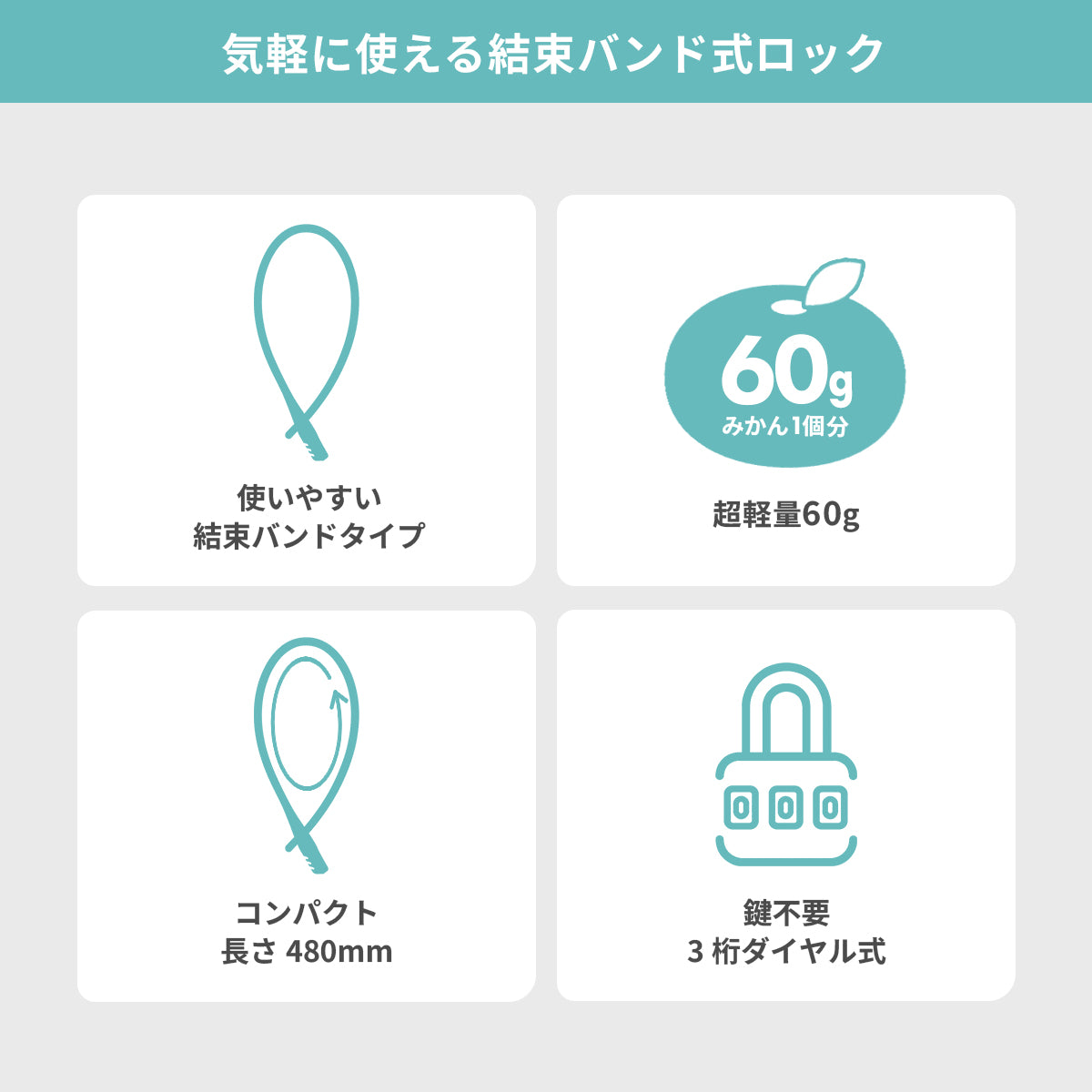 自転車バンドロック PLK-003