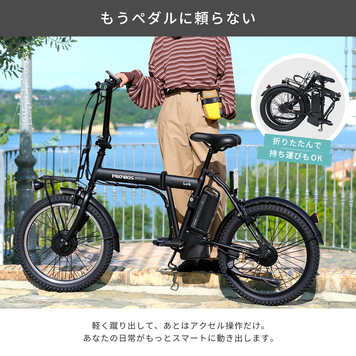 Lark 特定小型原動機付自転車 20インチ P-MCE20F